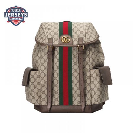 Gucci Ophidia Gg Backpack - GBP107